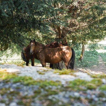 La Mouline Ξενοδοχείο Labastide-du-Vert Εξωτερικό φωτογραφία